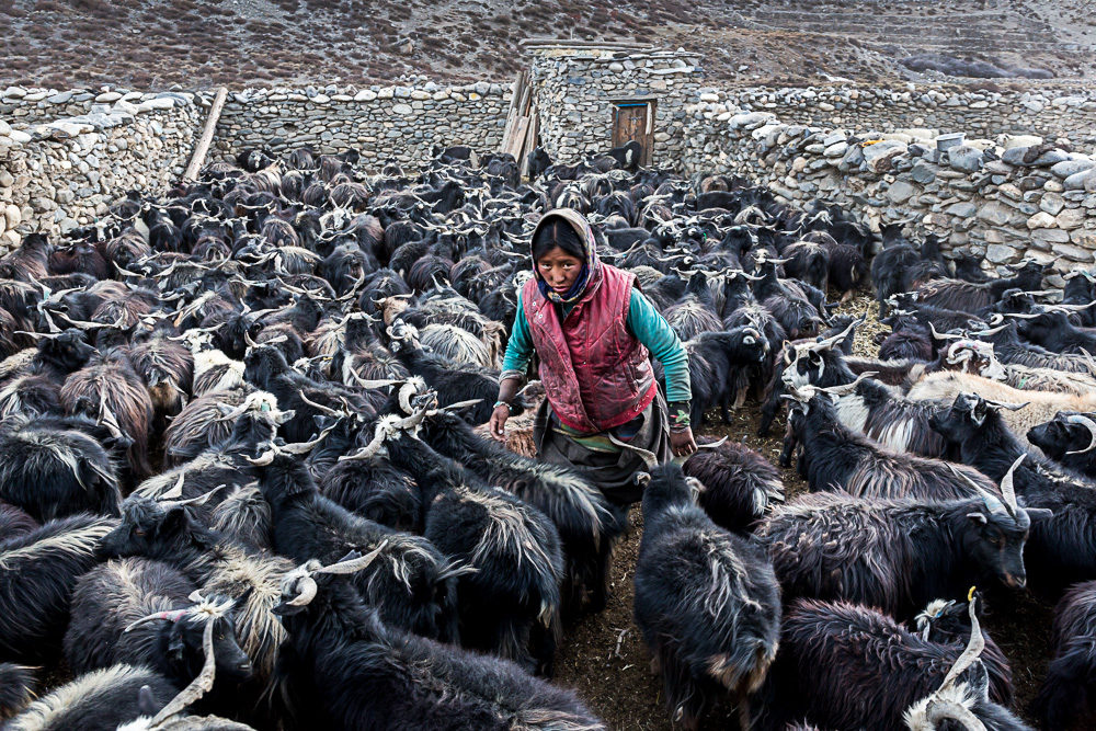 UPPER DOLPO