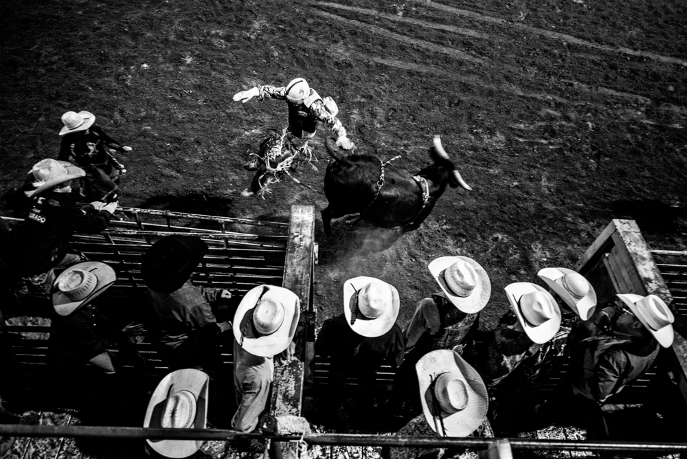 The Small Town Rodeo