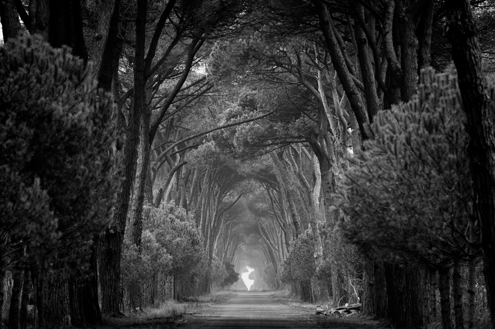 The paths of Tuscany