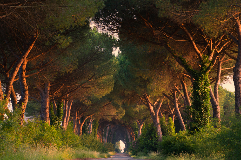 The paths of Tuscany