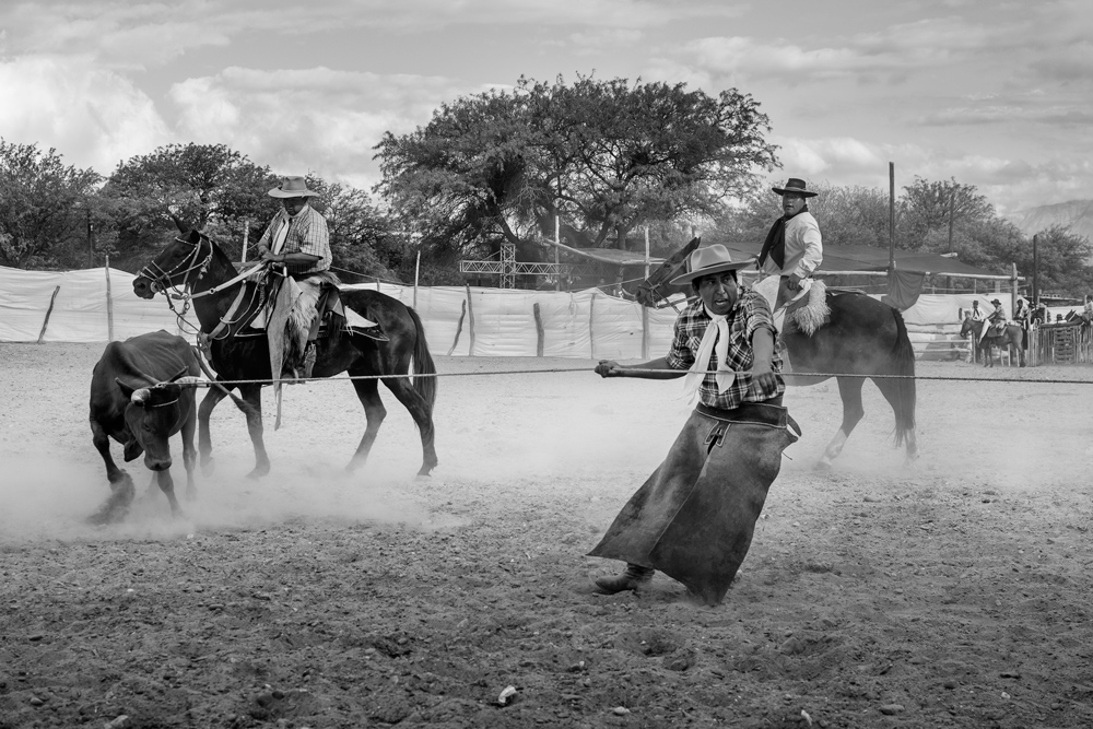 Gaucho Calchaquí - Pialada