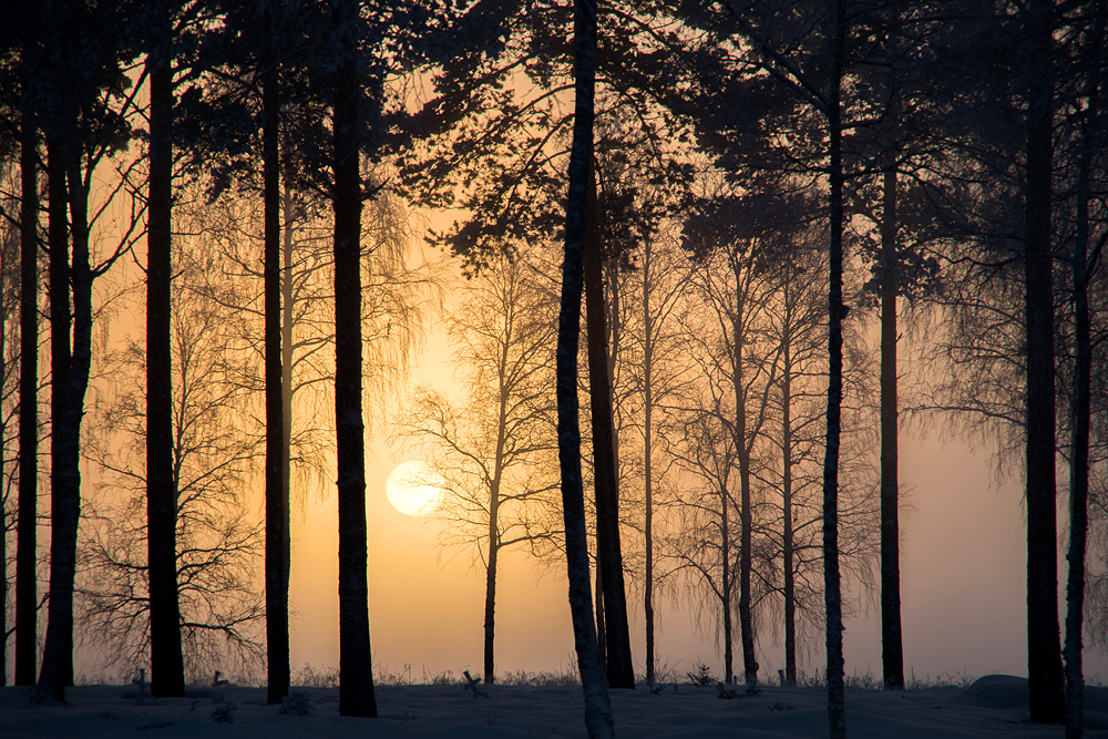 Silhouettes