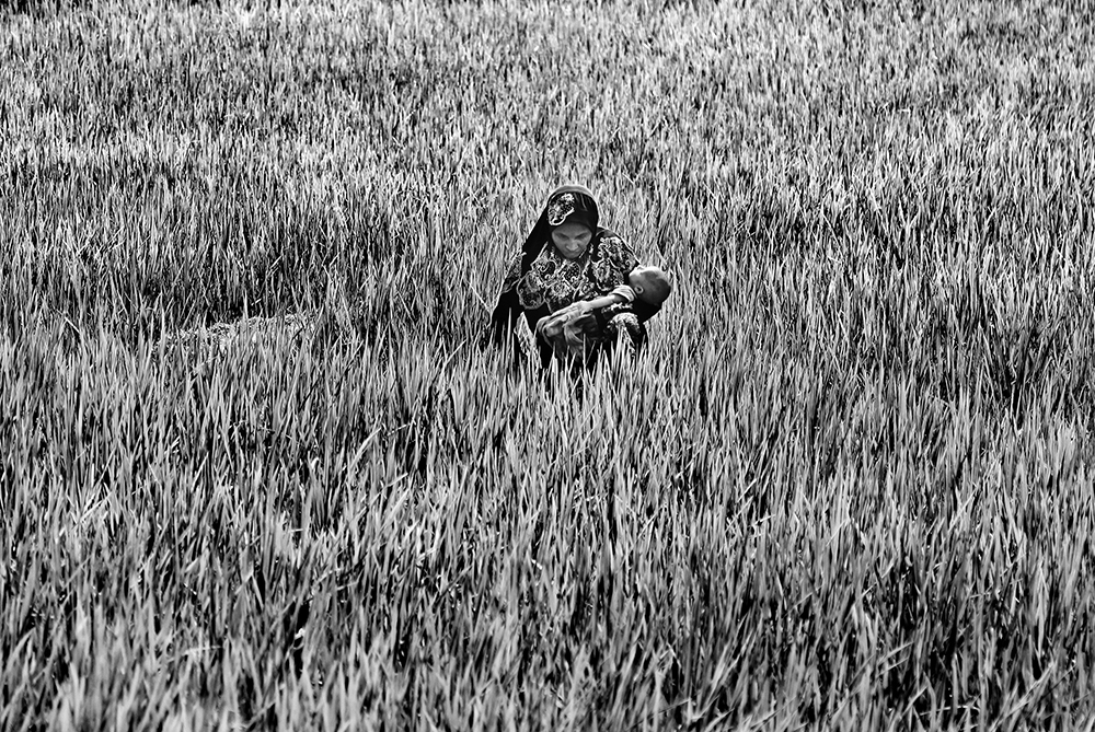Rohingya Refugee Crisis 
