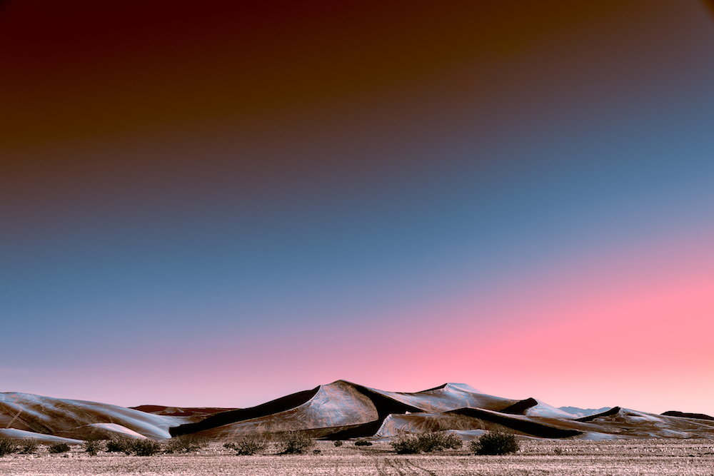 Neon Desert