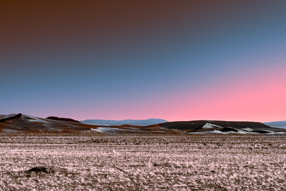 Neon Desert
