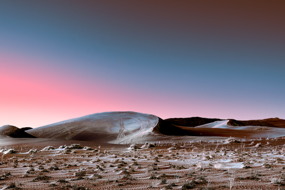 Neon Desert