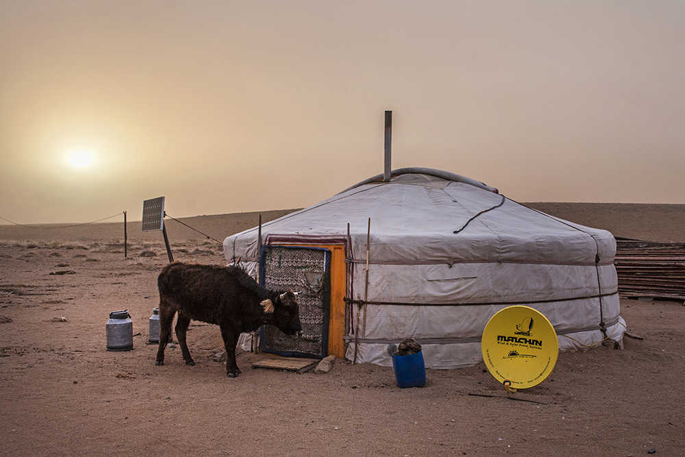 Living in the Gobi