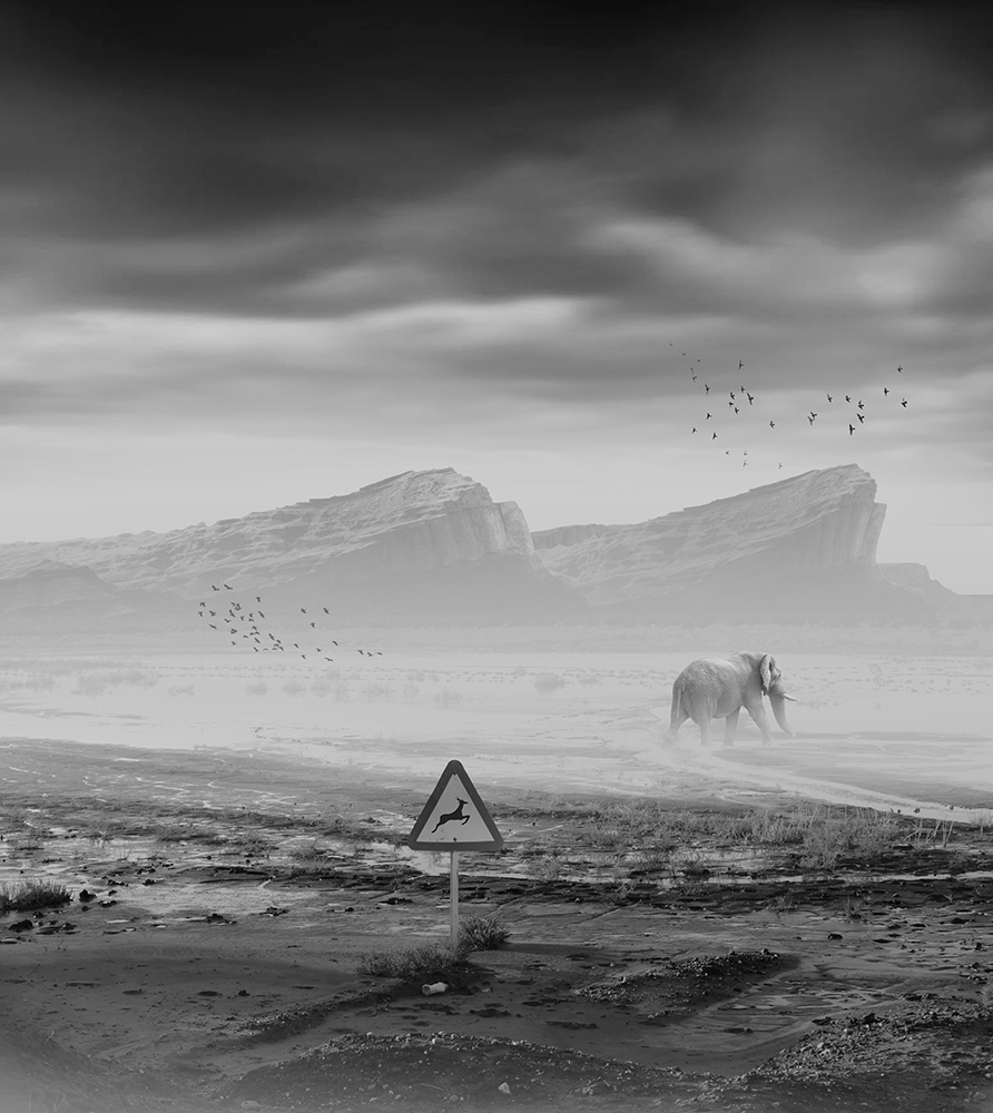 Animal world