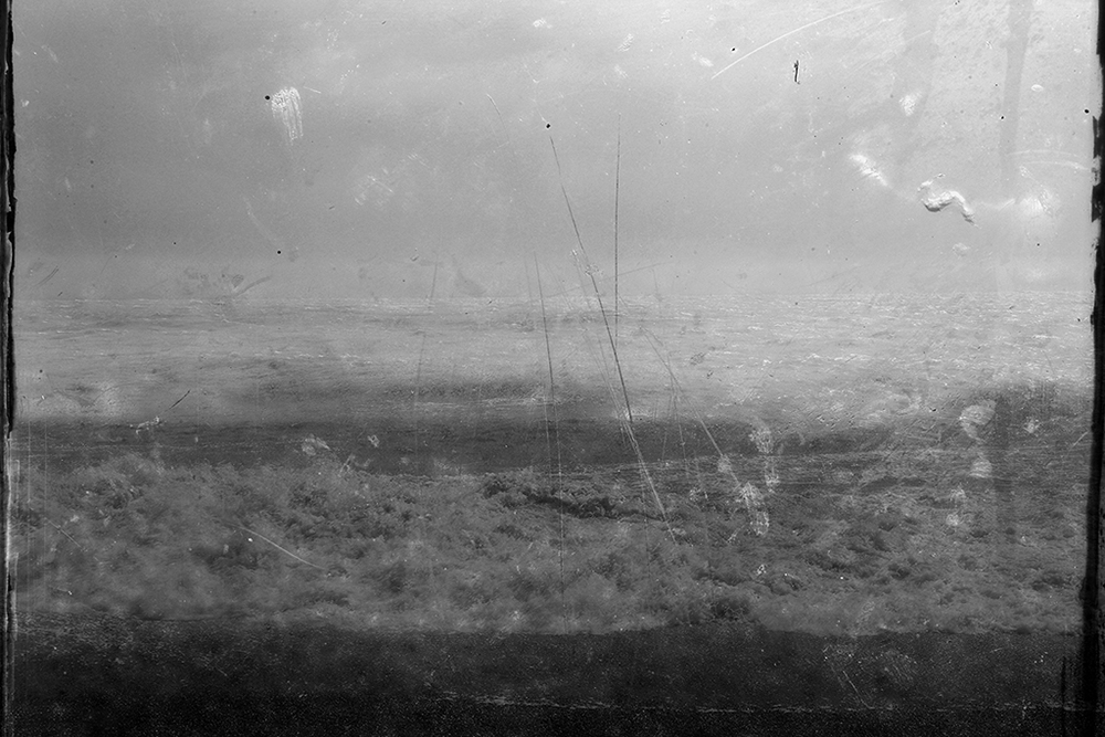 Sea Level