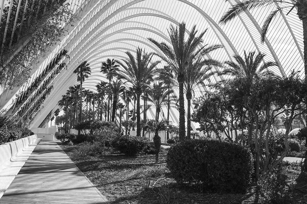 City of Arts and Sciences