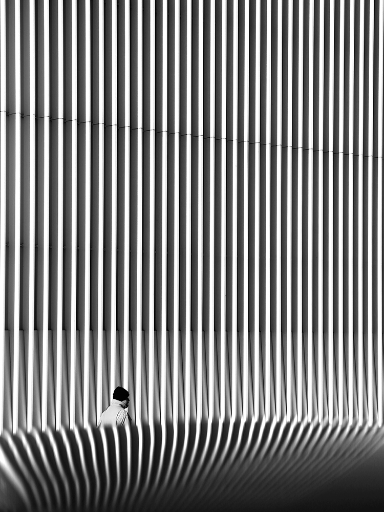 Street abstractions with a  philharmonic in the background .