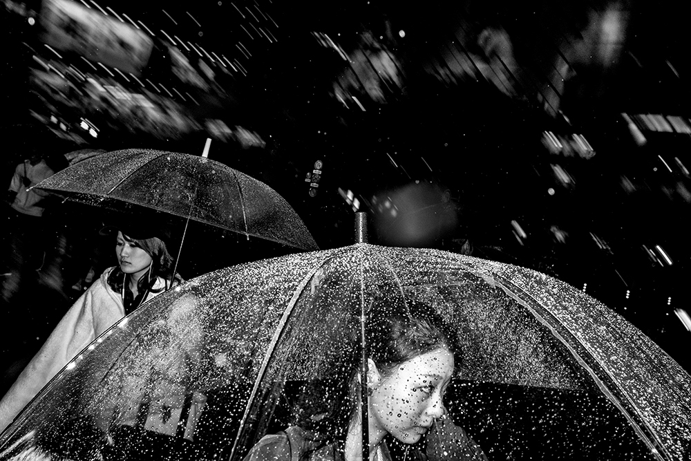 shibuya crossing