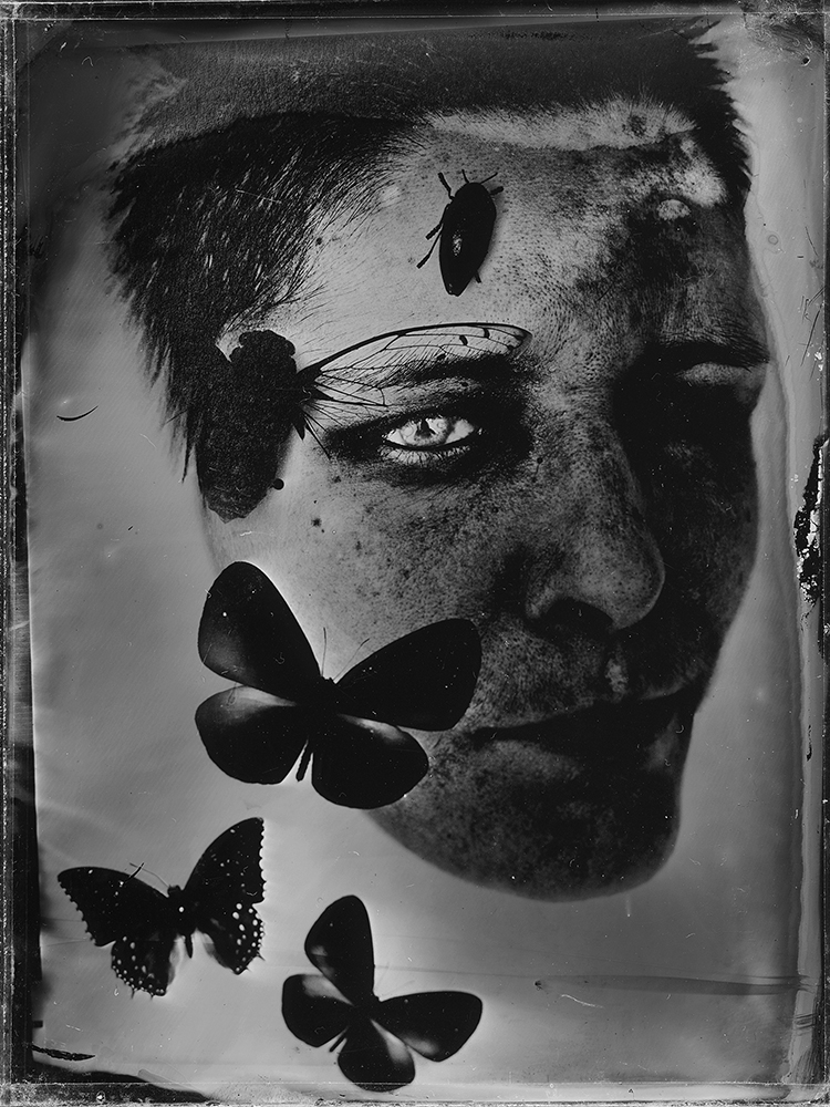 ABOUT YOURSELF. HYBRIDS.