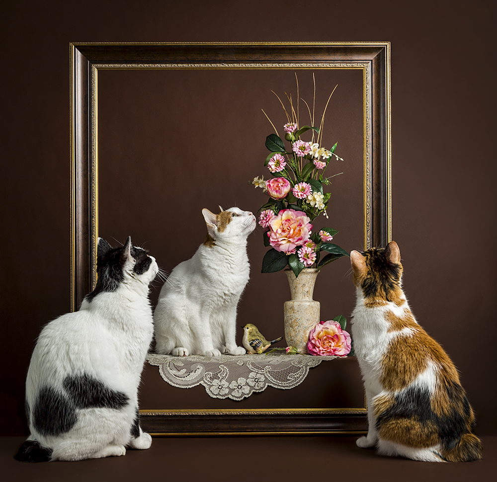 In and out of the frame