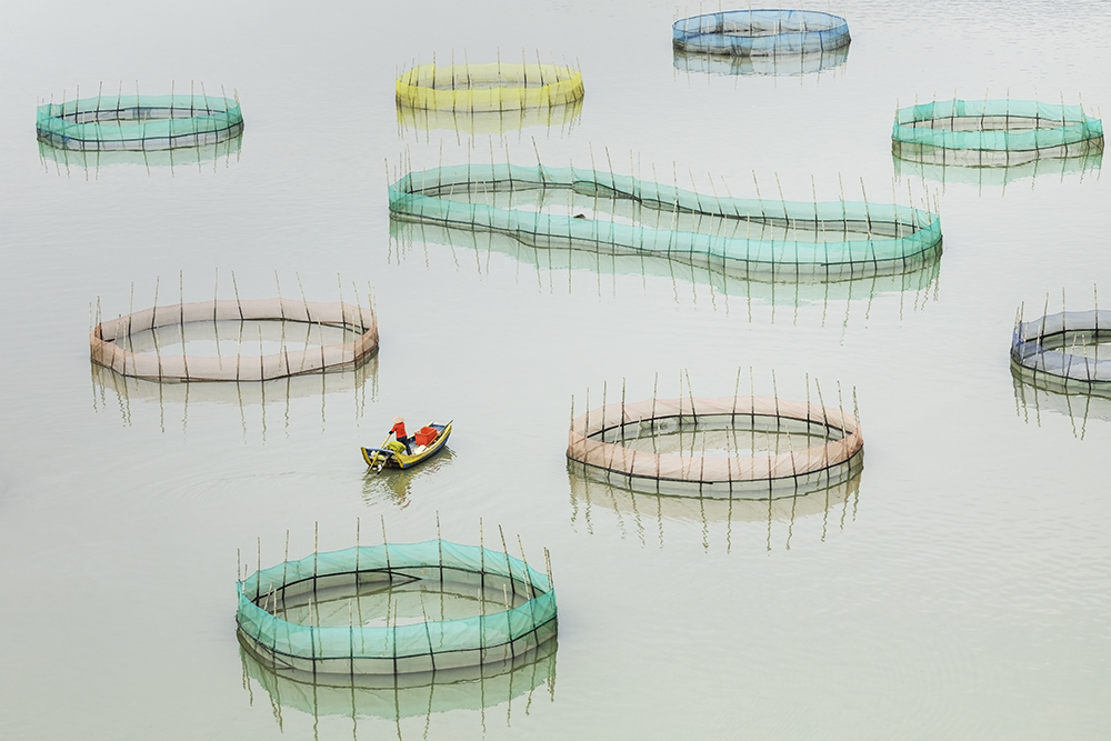 fisherman of Xuiapu china