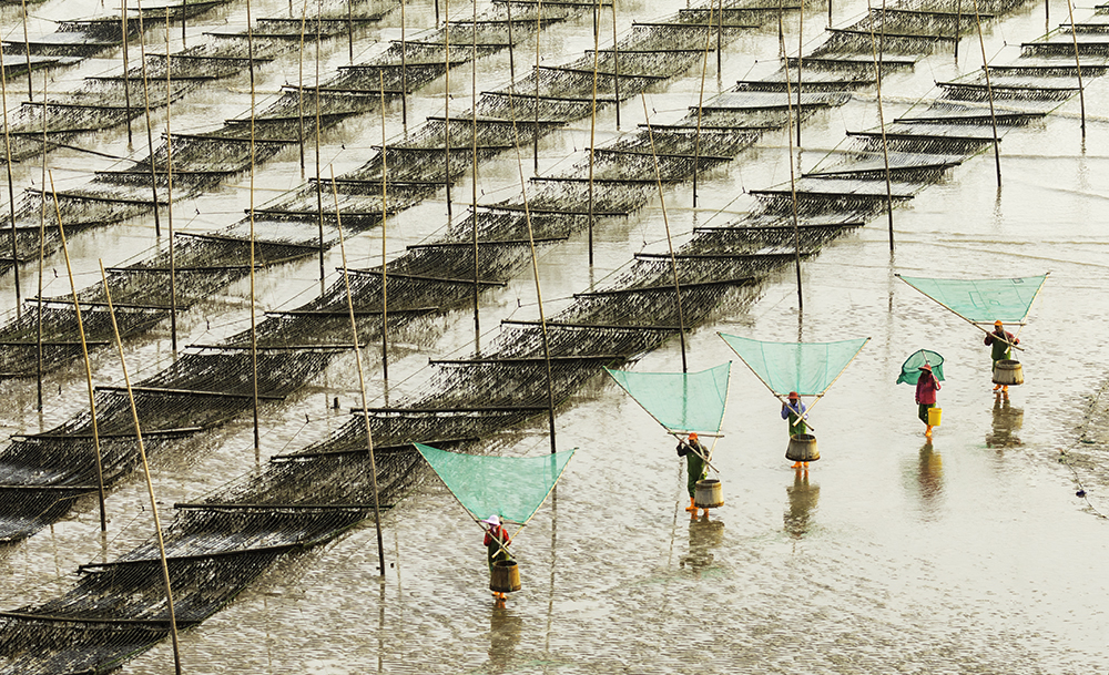 fisherman of Xuiapu china