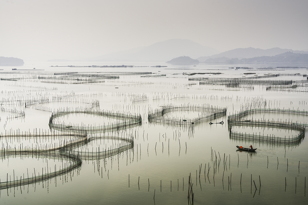 fisherman of Xuiapu china