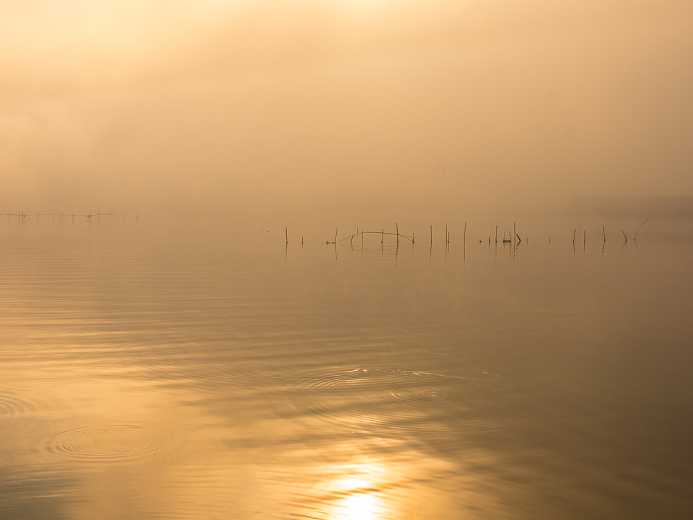 Venice in the Mist