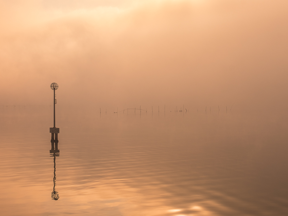 Venice in the Mist