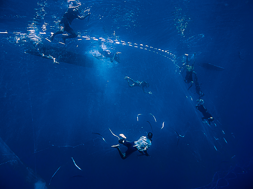 De profundis - an untold story of apnea fishing