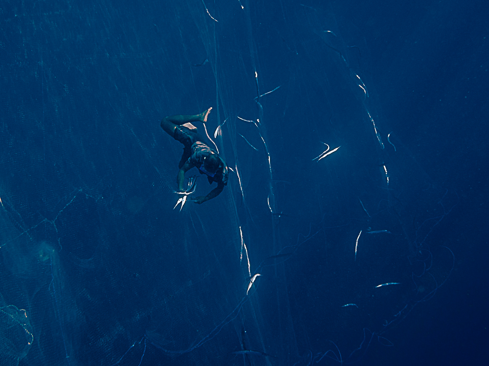 De profundis - an untold story of apnea fishing
