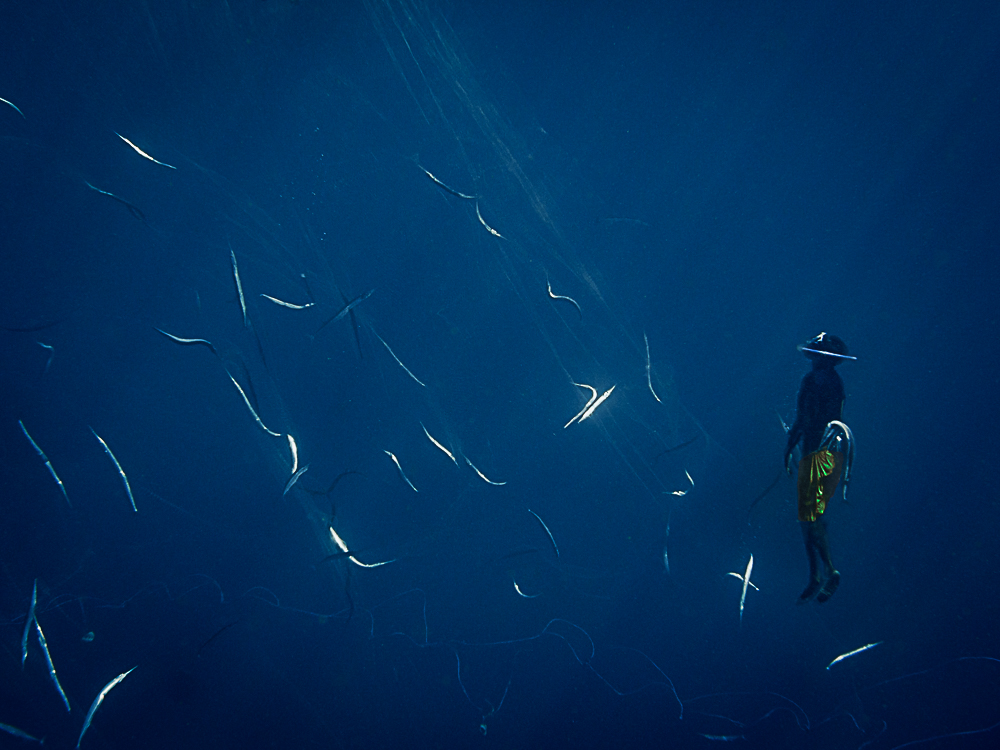 De profundis - an untold story of apnea fishing