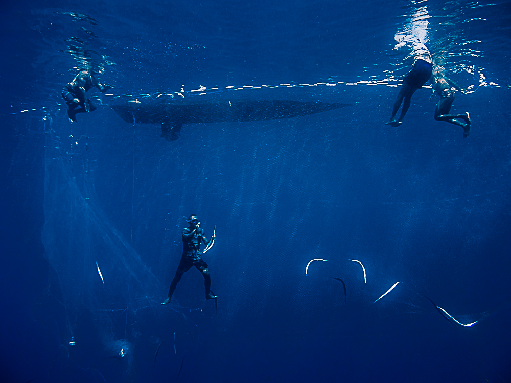 De profundis - an untold story of apnea fishing