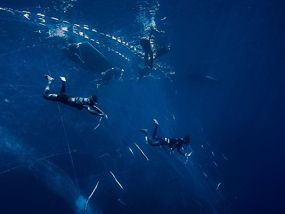 De profundis - an untold story of apnea fishing