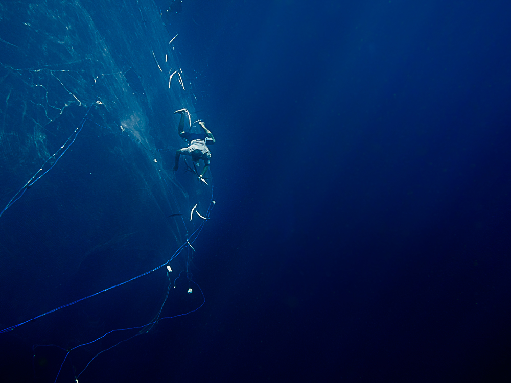 De profundis - an untold story of apnea fishing