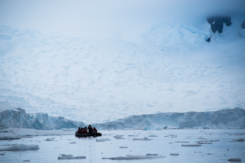 Glacier paradise: Antarctica