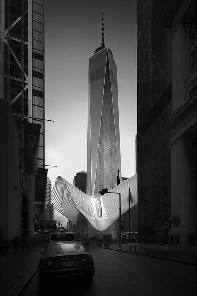 NY