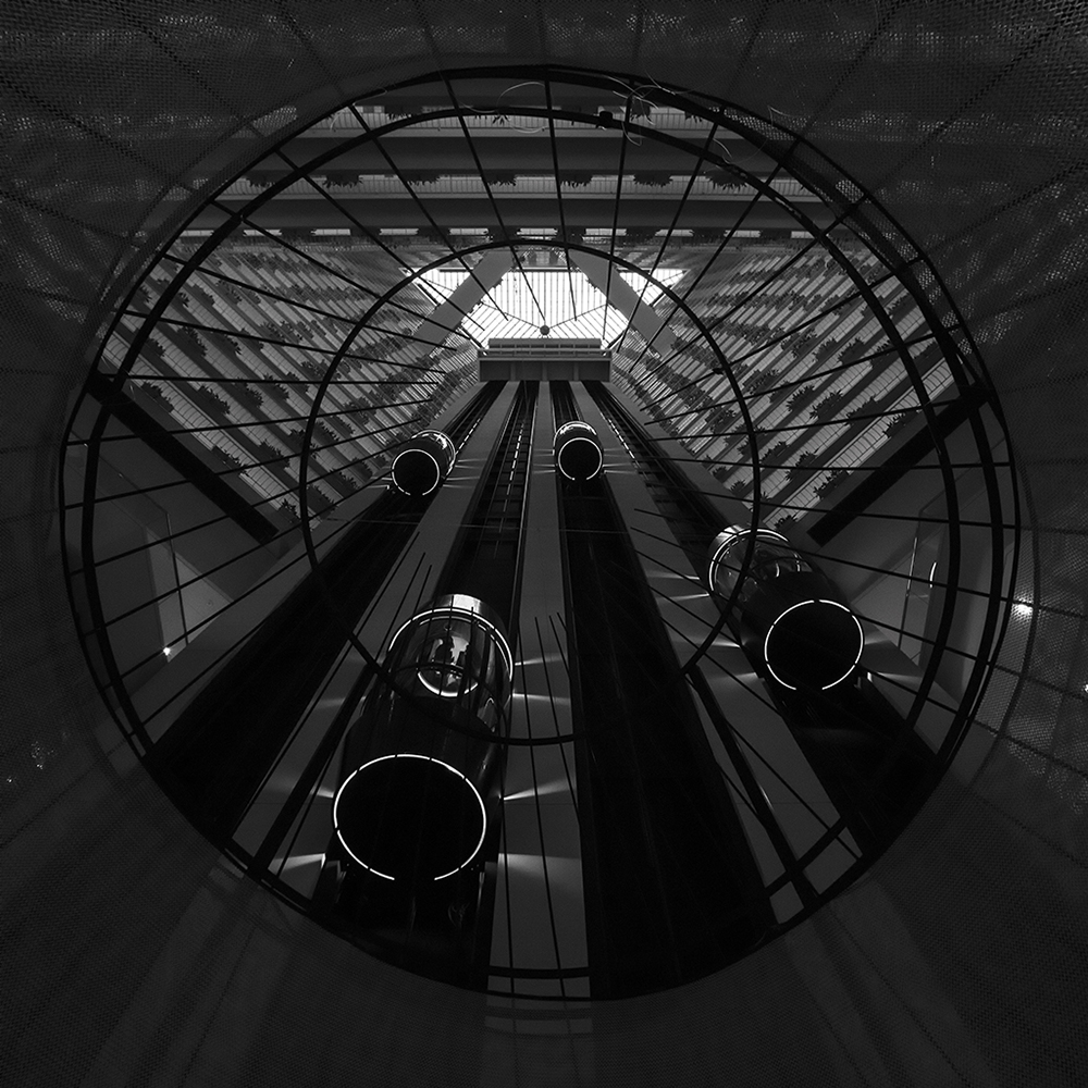 OBLIVION