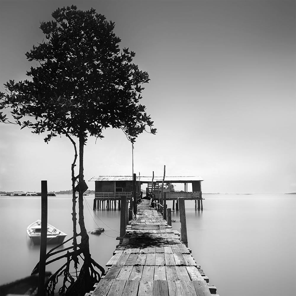 ZENSCAPES