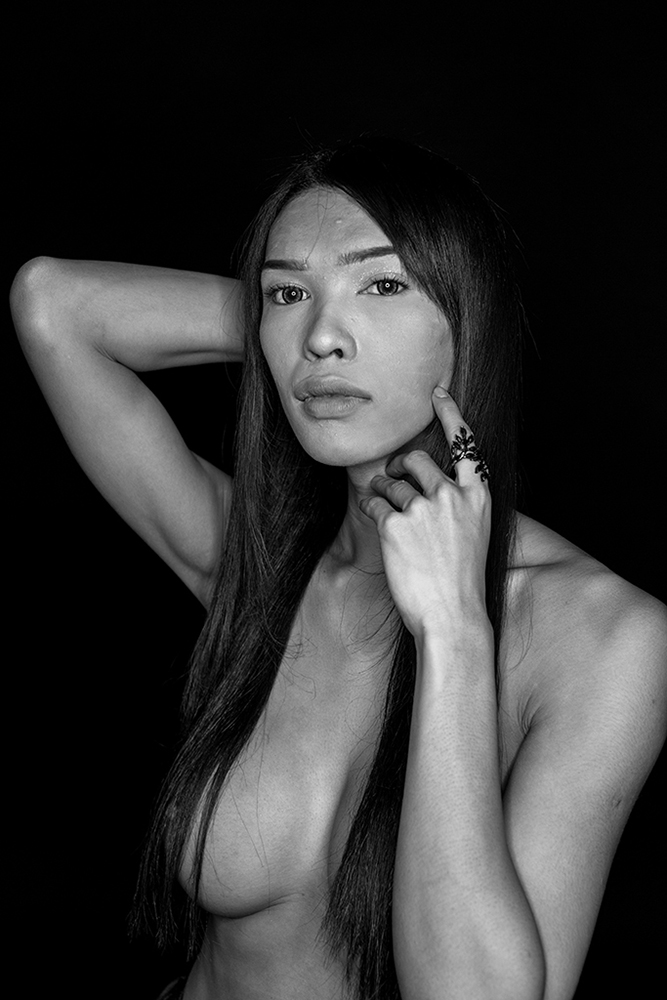 TRANSVOGUE