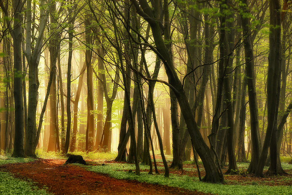 Four Seasons