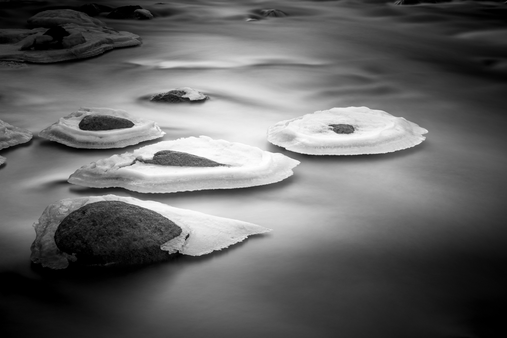River's Edge Emergent Forms