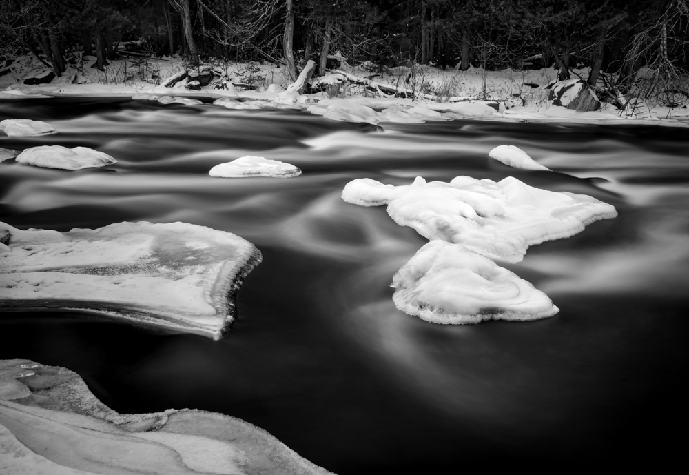 River's Edge Emergent Forms