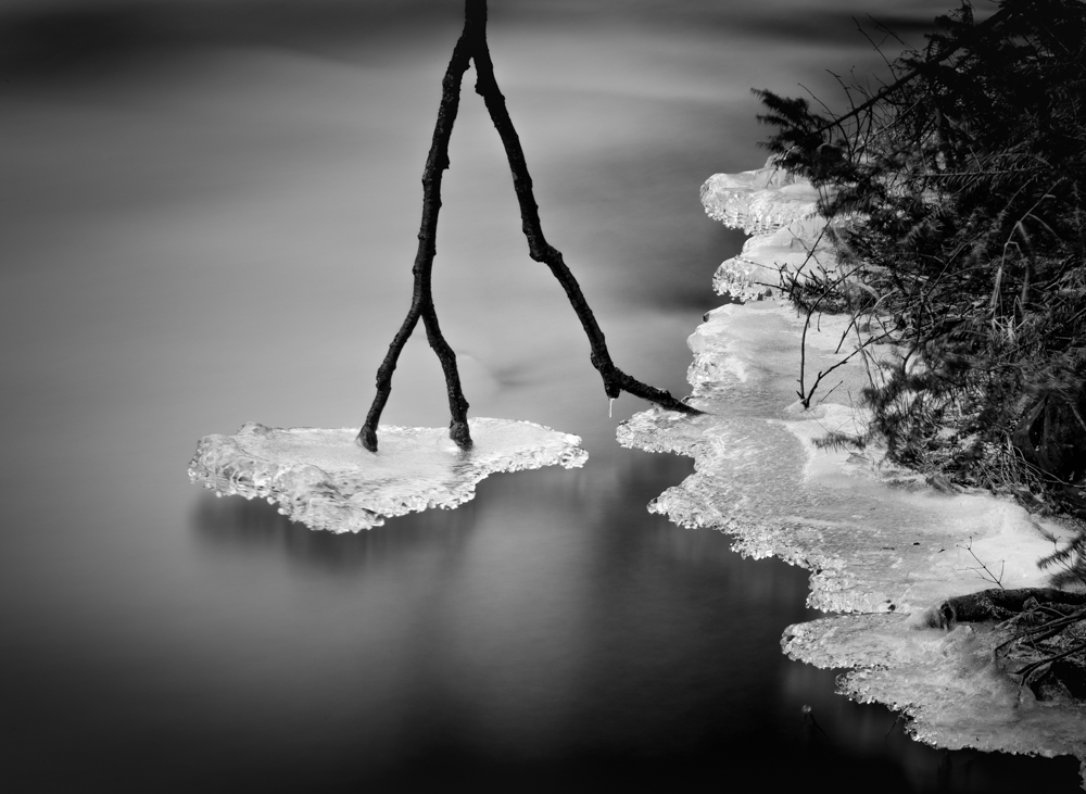 River's Edge Emergent Forms