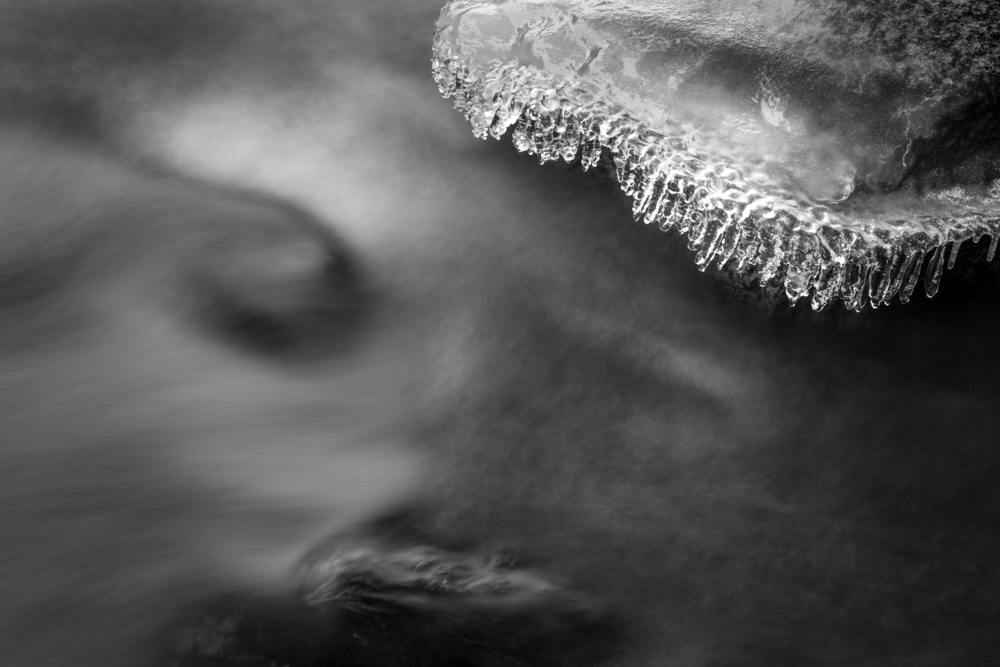 River's Edge Emergent Forms