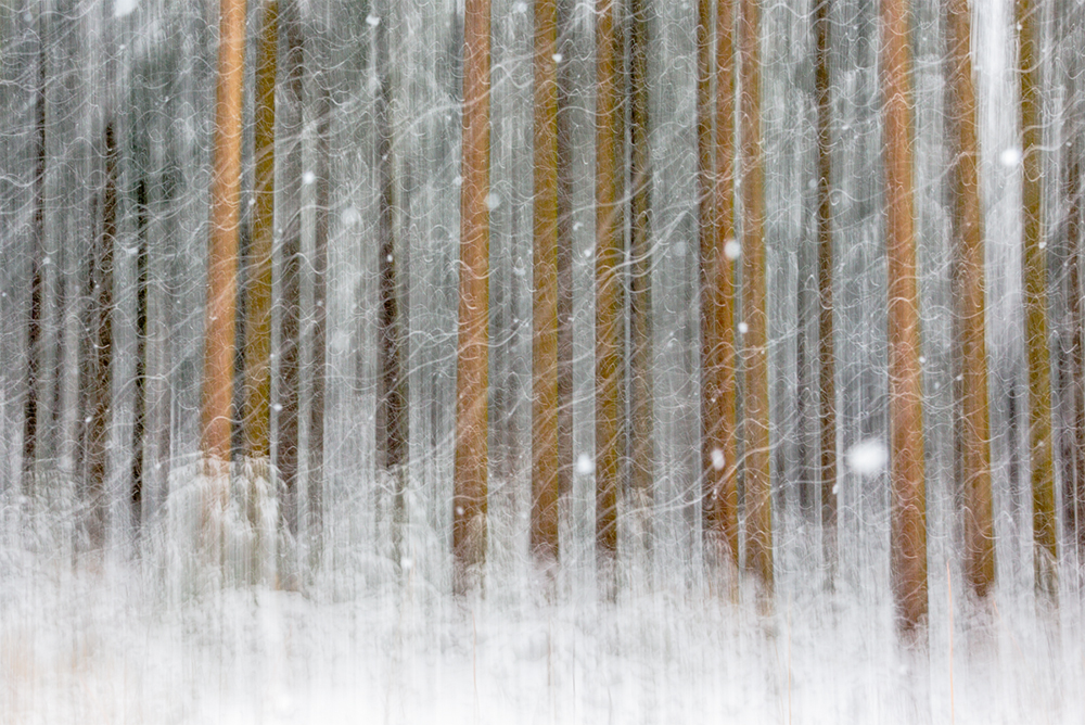 Winter Times