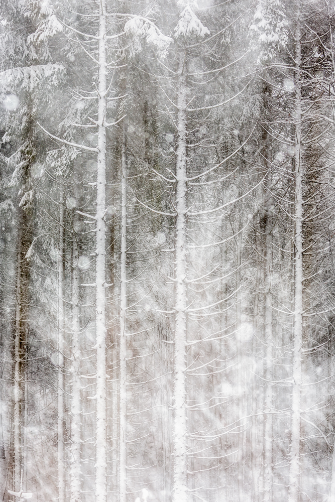 Winter Times
