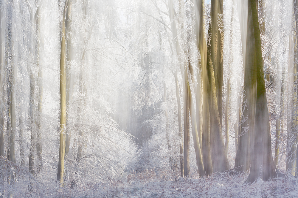 Winter Times