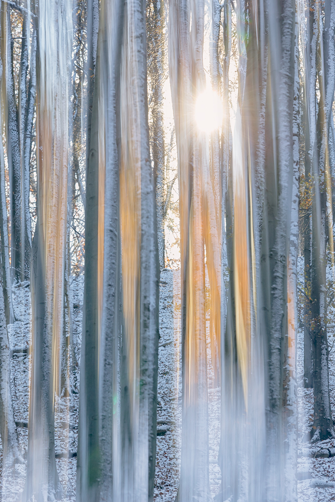 Winter Times