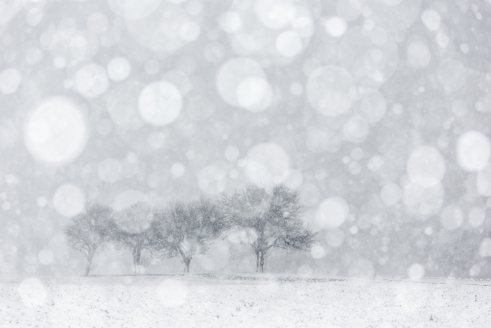 Winter Times