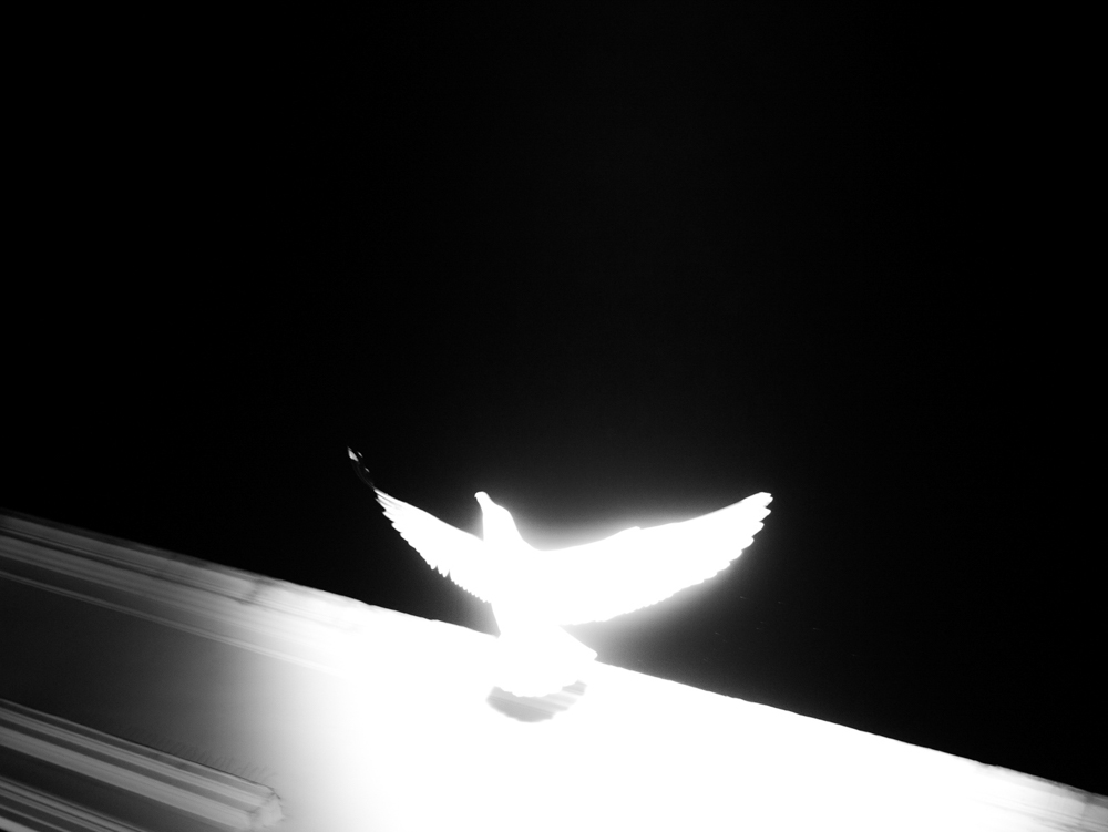 Sogno di un'ombra