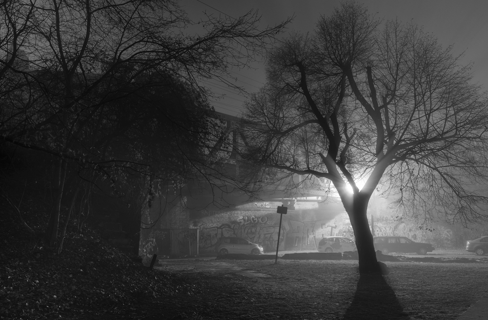 Berlin Bridges by Night & Fog