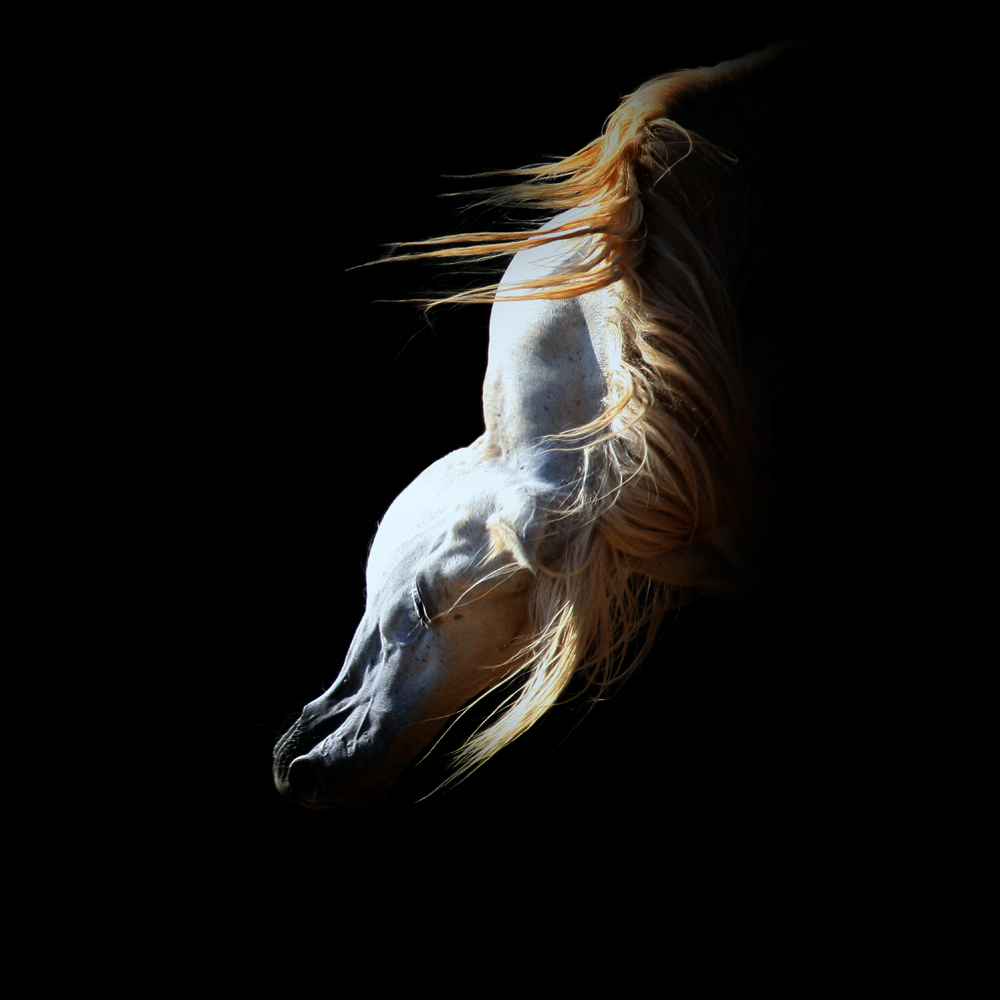 Faramir