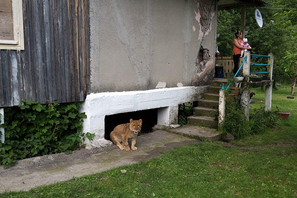 ABKHAZIA