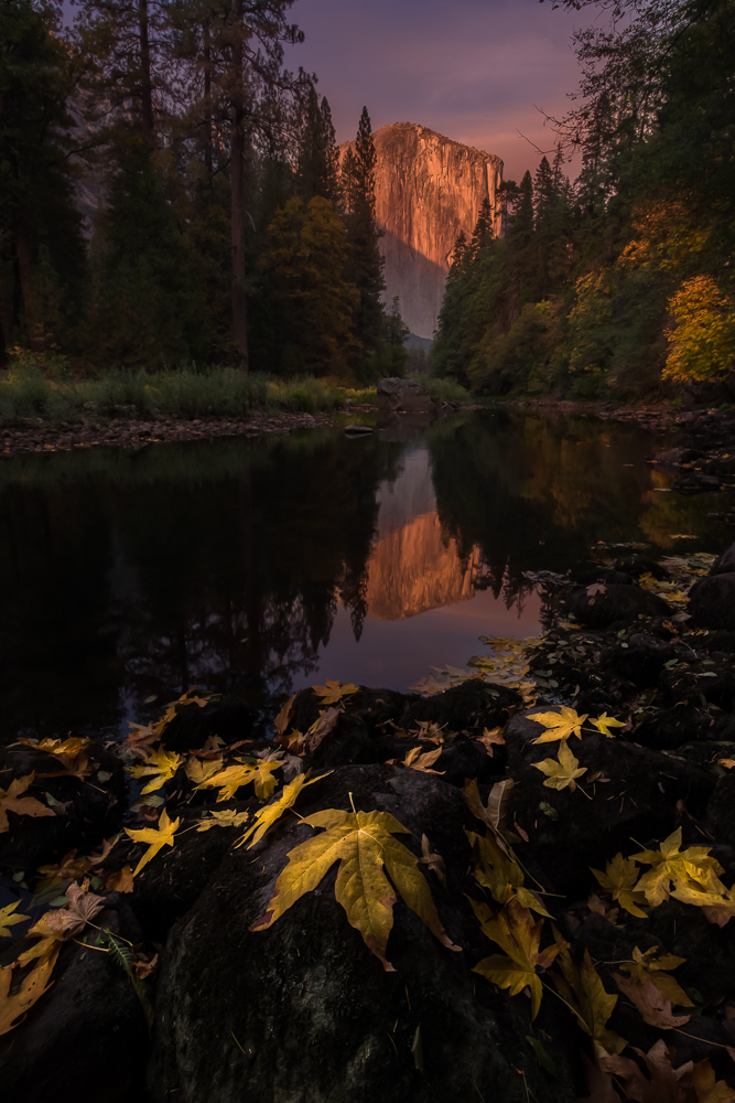 Mountain Light