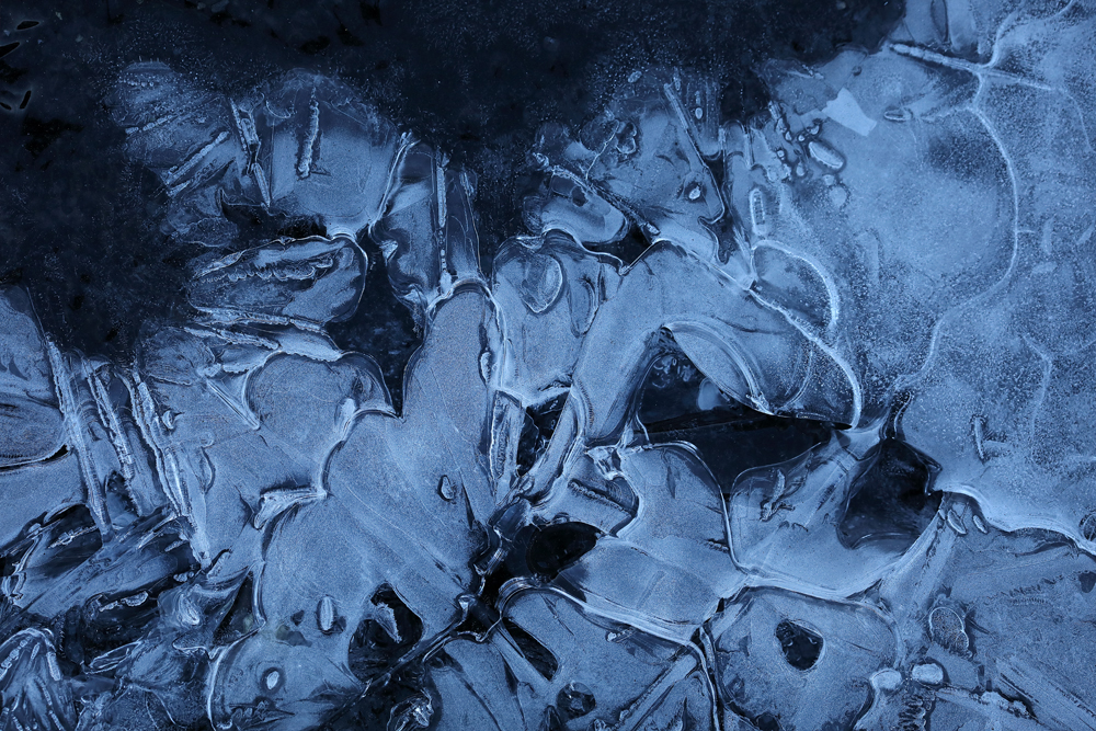 Ice life